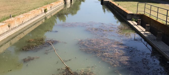Im Schweiße unseres Angesichts Im Schweiße unseres Angesichts