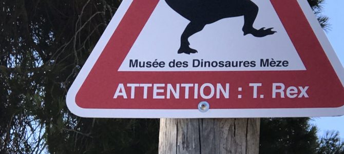 Diplomierte Paläontologen! Diplomierte Paläontologen!