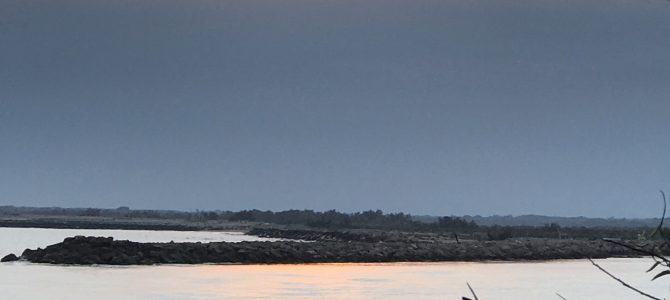 Schwierig…oder Flamingos, Pferde, Stiere, Reis… die Camargue Schwierig…oder Flamingos, Pferde, Stiere, Reis… die Camargue