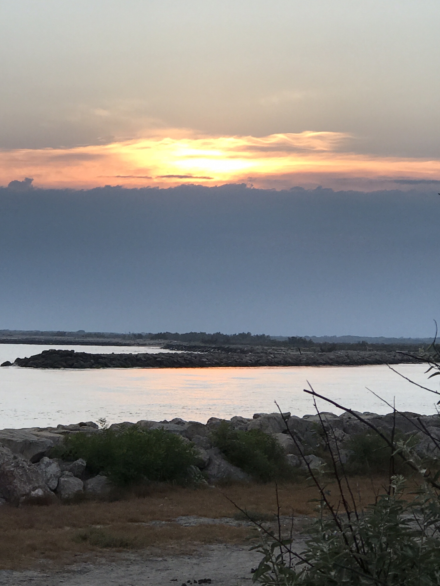 Schwierig…oder Flamingos, Pferde, Stiere, Reis… die Camargue