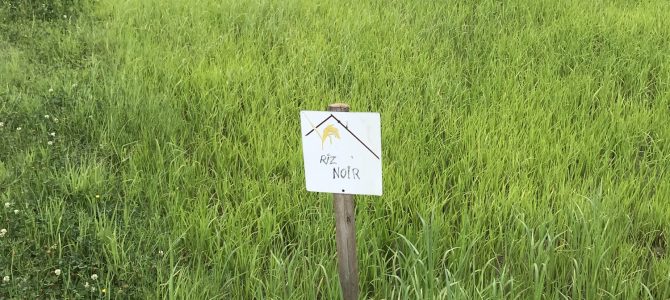 Die Reise geht zu Ende… Die Reise geht zu Ende…