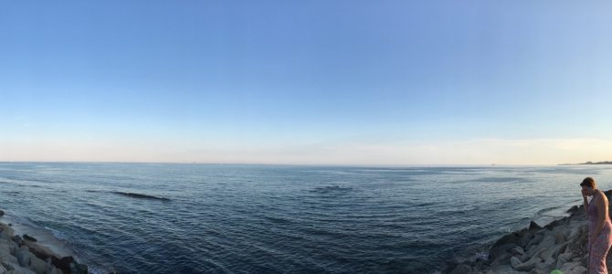 Zwischenmeldung Zwischenmeldung