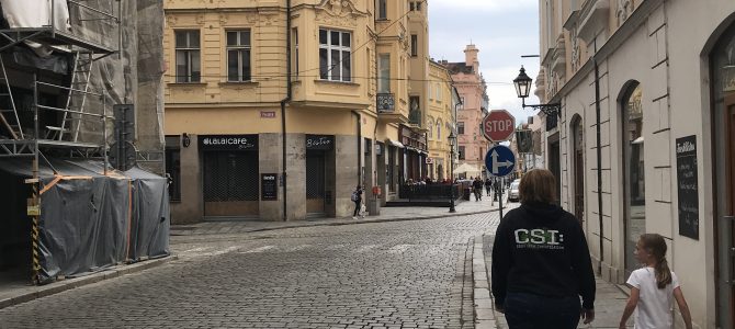 Übersetzen nach Pilsen
