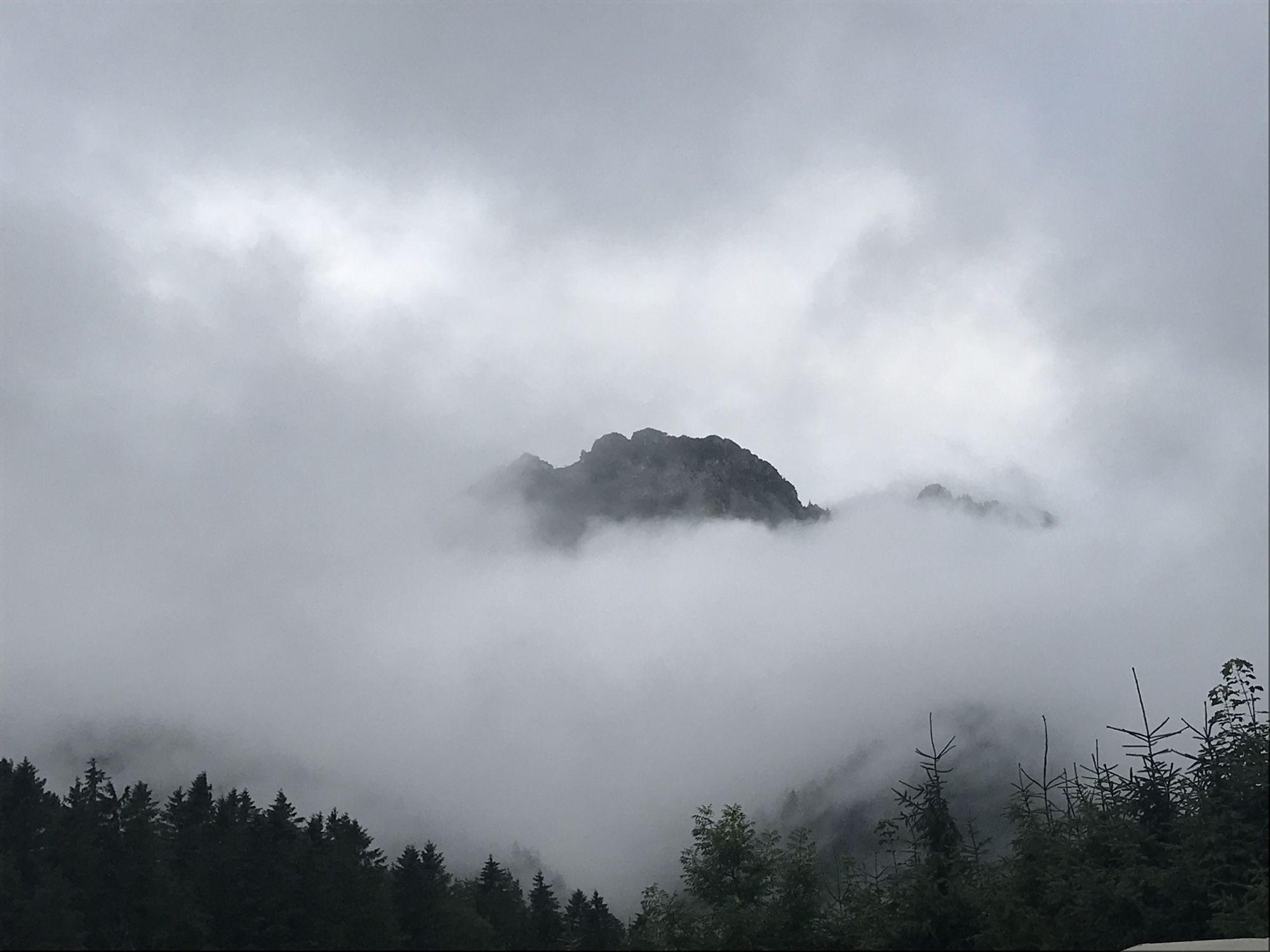 Touris im Katastrophengebiet Touris im Katastrophengebiet