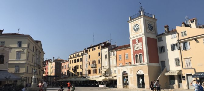 Rovinj und Delfine