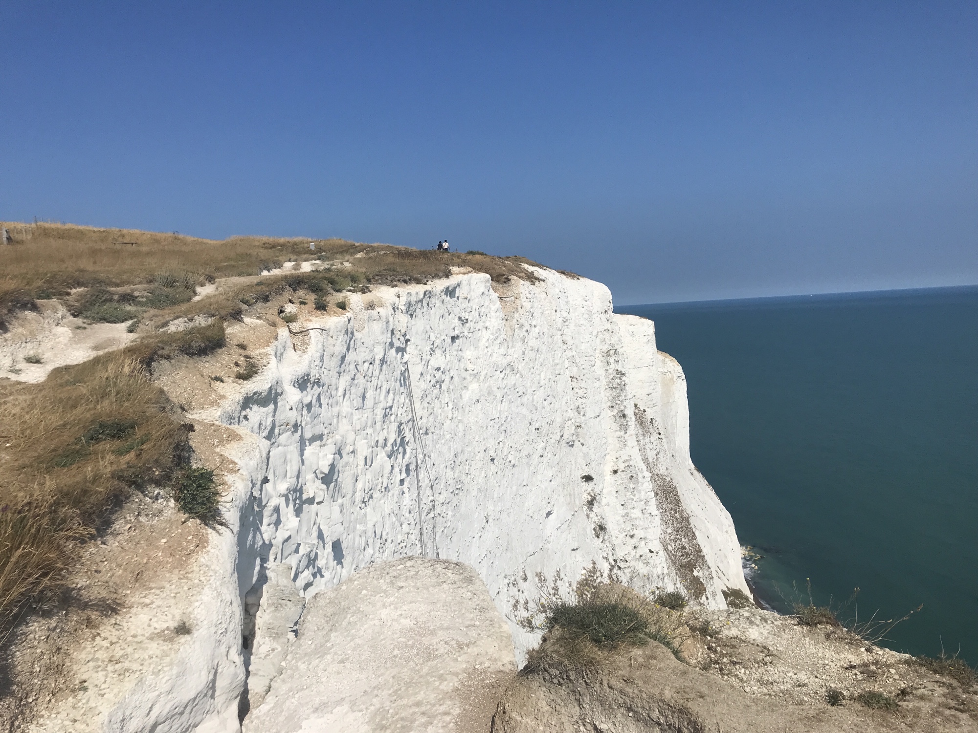 White Cliffs und der erste Tee White Cliffs und der erste Tee