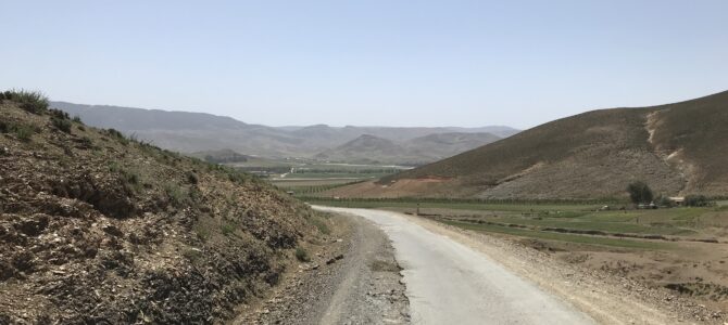 Zedern, Affen und der Atlas