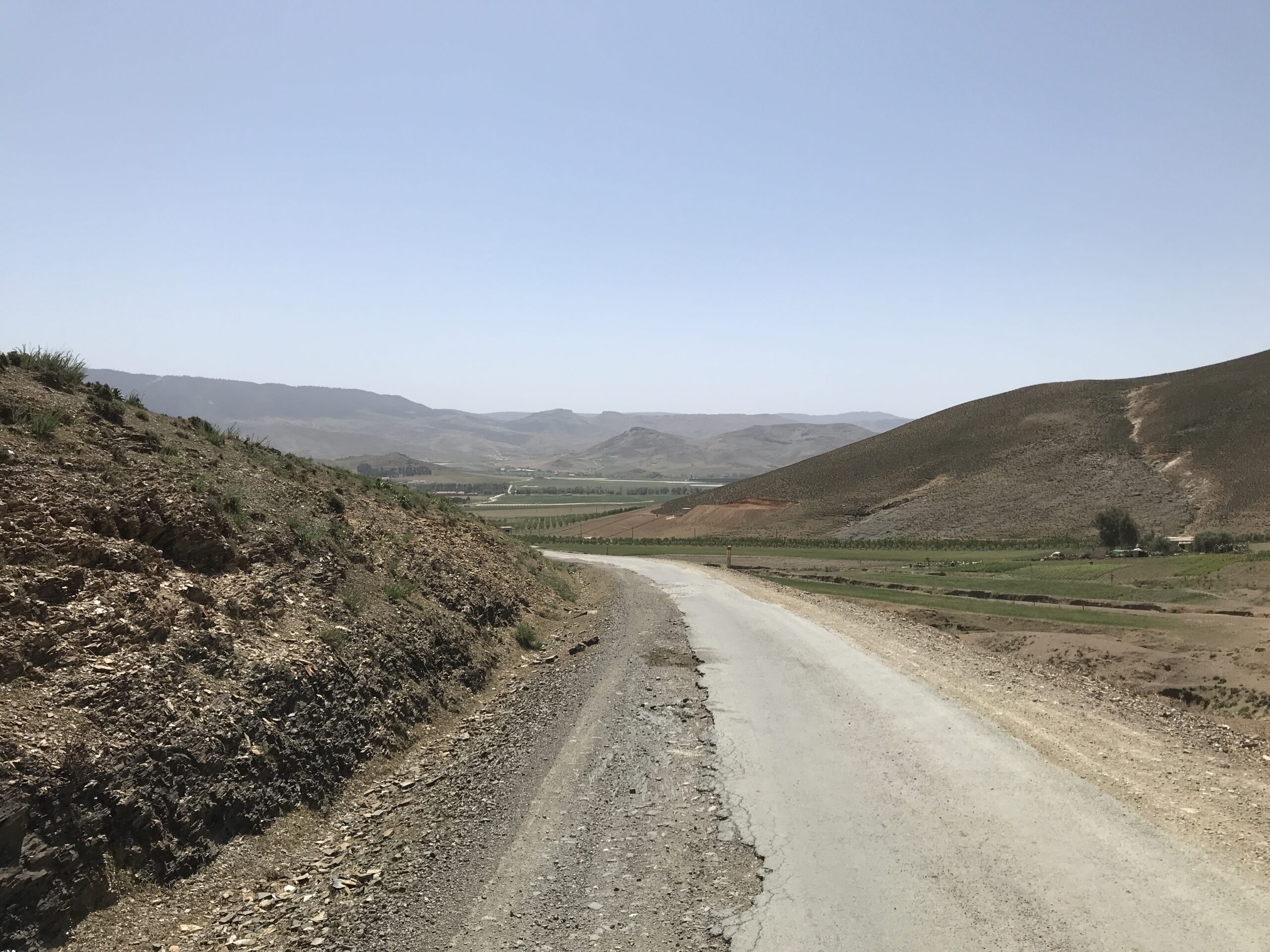 Zedern, Affen und der Atlas Zedern, Affen und der Atlas