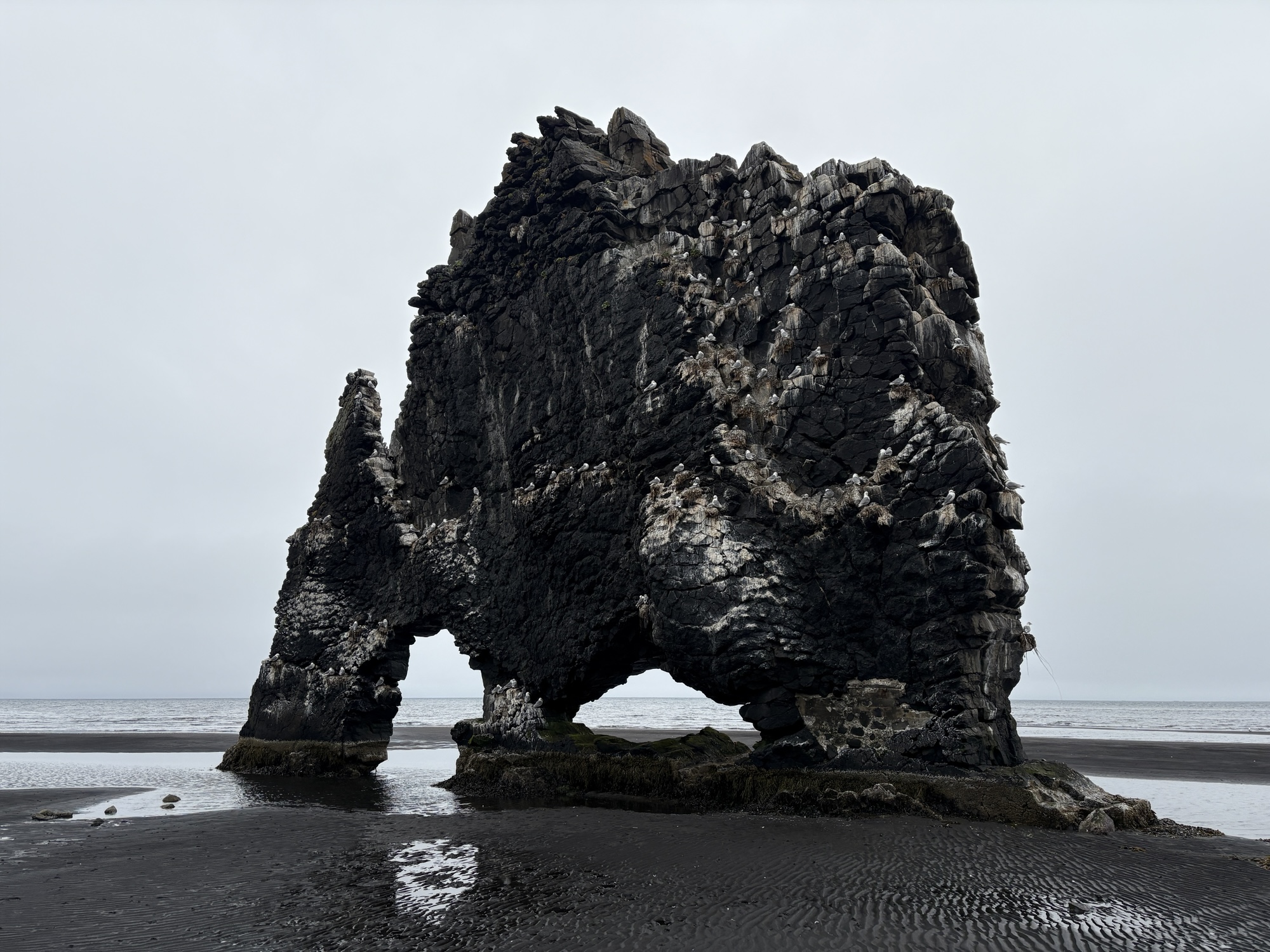 Hvítserkur – weisser Kittel Hvítserkur – weisser Kittel